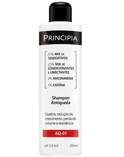 Shampoo Antiqueda Principia AQ-01 250ml Shampoo Antiqueda Principia AQ-01 250ml