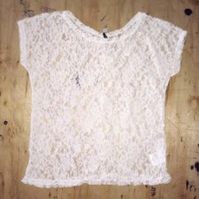 Blusa Rendada Transparente Manga Curta Blusa Rendada Transparente Manga Curta