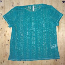 Blusa Rendada Transparente Manga Curta Blusa Rendada Transparente Manga Curta