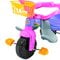 Triciclo Passeio Velotrol Infantil Tico Tico Chiclete C/ Alça