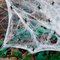 Teia com Aranhas Artificial Decoração Para O Halloween