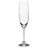 Taça Cristal Champagne Gastro/Colibri 220ml 5327 Bohemia