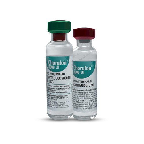HCG Chorulon 5000 UI - MSD | Reprodução de equinos e bovinos HCG Chorulon 5000 UI - MSD | Reprodução de equinos e bovinos