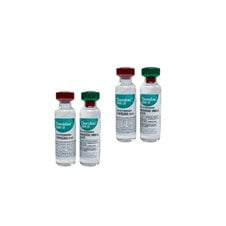 Kit Chorulon ® HCG 2 Un - MSD |  Tratamento de infertilidade de bovinos e equinos