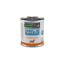 Ração úmida Vetlife Convalescence 300g | Para cães em recuperação nutricional Ração úmida Vetlife Convalescence 300g | Para cães em recuperação nutricional