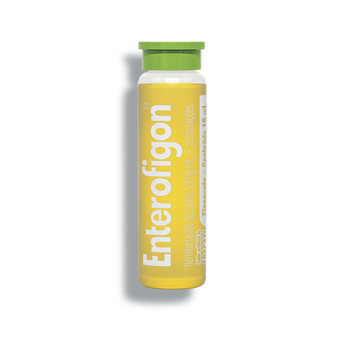 Enterofigon Abacaxi Flaconete Com 10ml Enterofigon Abacaxi Flaconete Com 10ml