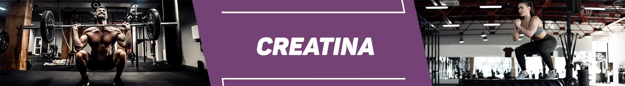 creatina universal creatina universal