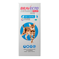 Antipulgas MSD Bravecto Plus para Gatos de 2,8 a 6,25kg