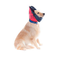 Colar Conforto Pet Med 7 Colar Conforto Pet Med 7