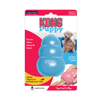 Kong Filhote G Kong Filhote G