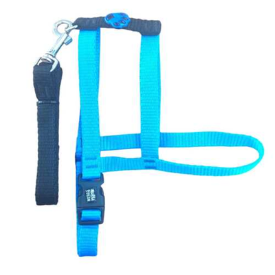 Conjunto Multipatas Guia e Peitoral Comum Azul para Cães - Tam.N.4 Conjunto Multipatas Guia e Peitoral Comum Azul para Cães - Tam.N.4