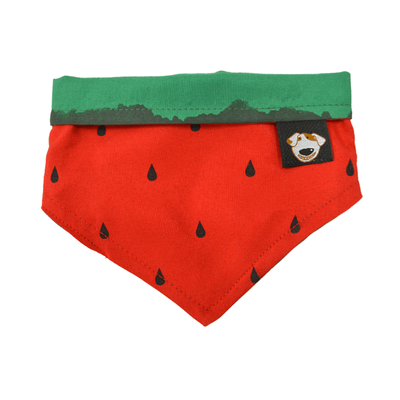 Bandana Dupla Face Emporium Distripet Melancia Para Cães E Gatos - P Bandana Dupla Face Emporium Distripet Melancia Para Cães E Gatos - P