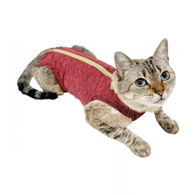 Roupa Pós Castração Pet Med Para Gatos Duo Dry Rosa - Tamanho 1 Roupa Pós Castração Pet Med Para Gatos Duo Dry Rosa - Tamanho 1