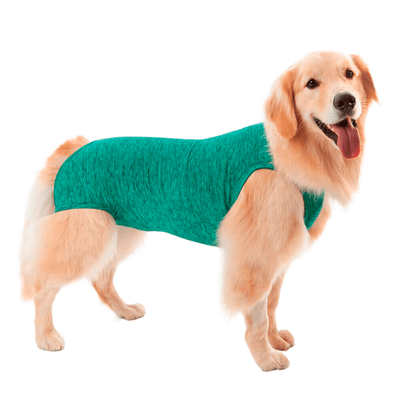Roupa Pós Castração Pet Med Regular Dry Confort Verde Mescla - Tamanho 15 Roupa Pós Castração Pet Med Regular Dry Confort Verde Mescla - Tamanho 15