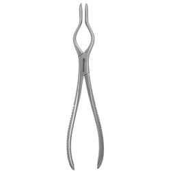 Pinça Walshan Reta 23cm Para Septo Pinça Walshan Reta 23cm Para Septo
