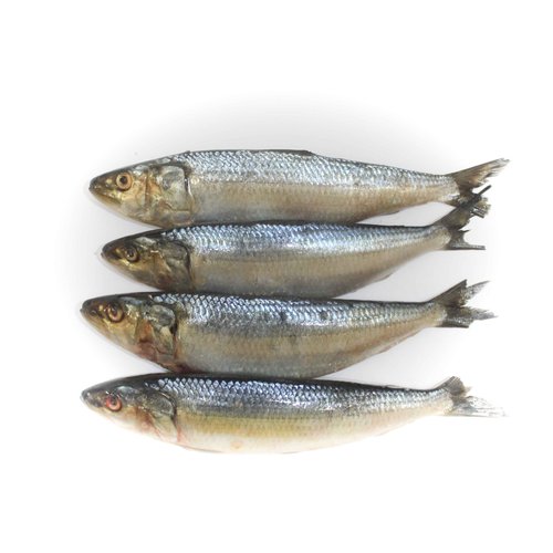 Peixaria Sardinha Inteira Peixaria Sardinha Inteira