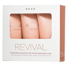 Kit Revival (3 produtos) - Braé