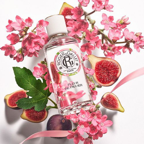 Água Perfumada Fleur De Figuier Roger E Gallet 100ml | Drogaria