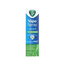 Vick Spray Nasal 100ml