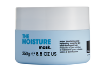 Máscara Hidratante Para Cabelos Secos E Danificados The Moisture Br&co Com 250ml