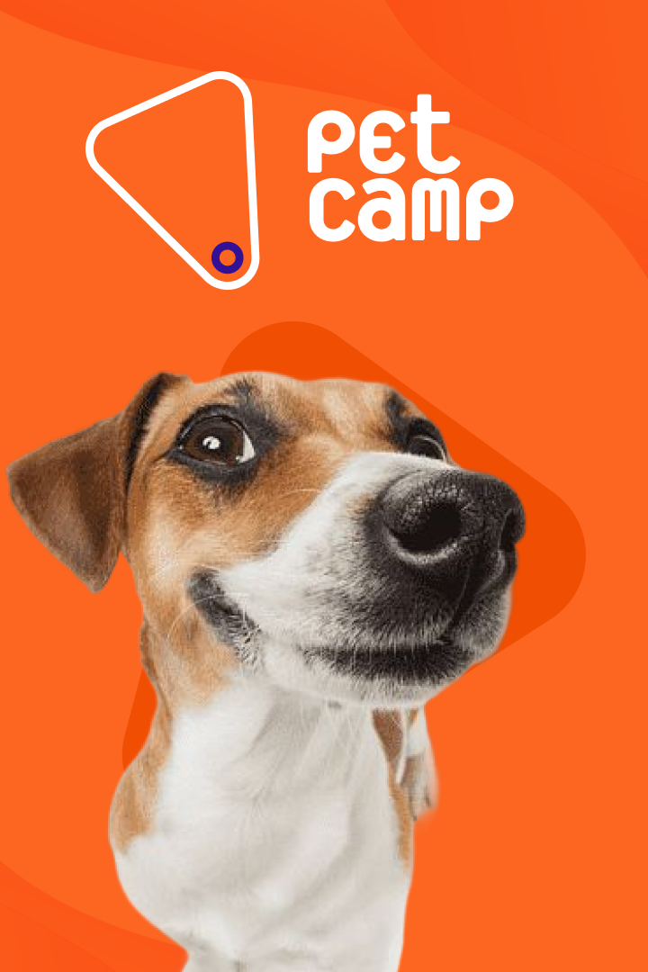 Petcamp Case Study