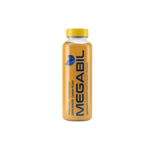 Megabik 2025