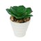 Mini Planta Suculenta Verde No Vaso Branco