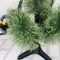 Árvore Mini De Natal Verde Com 5 Galhos 35 Cm
