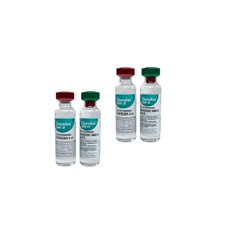 Kit Chorulon ® HCG 2 Un - MSD |  Tratamento de infertilidade de bovinos e equinos