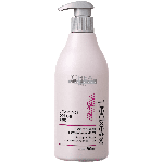 Shampoo Serie Expert Vitamino Color A-OX L'Oréal Professionnel 500 ML