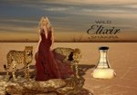 Elixir By Wild Feminino Eau de Toilette Shakira
