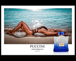 Sweetness Blue Arsenal Feminino Eau de Parfum Puccini