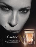 La Panthere Feminino Eau de Parfum Cartier