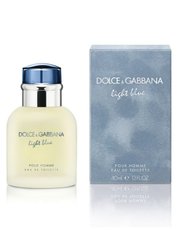 Light Blue Masculino Eau de Toilette Dolce e Gabbana