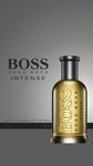 Boss Bottled Intense Masculino Eau de Parfum Hugo Boss