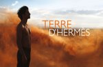 Terre D'Hermès Masculino Eau de Toilette Hermes