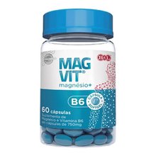 Magvit Magnesio+Vitamina B6 750Mg com 60 Cápsulas