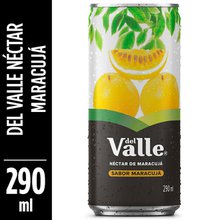 Suco Del Valle Néctar de Maracujá 290Ml