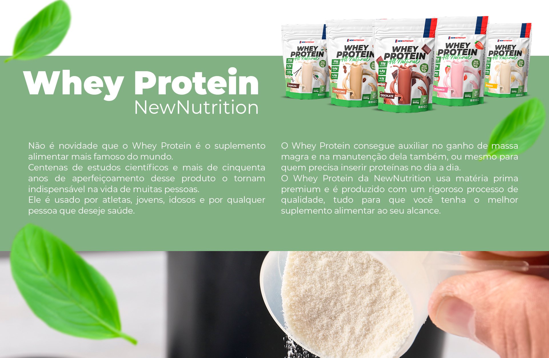 Whey Protein Concentrado All Natural NewNutrition