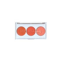 Paleta de Blush Payot Boca Rosa #Carinhademetida