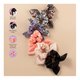 Scrunchie Pequena Pro Art Preto