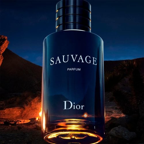 Perfume Masculino Dior Parfum Sauvage 100ml | Nova Era Cosméticos
