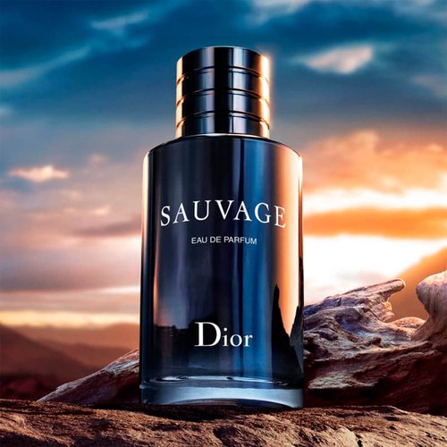 Perfume Masculino Dior Eau de Parfum Sauvage 100ml | Nova Era
