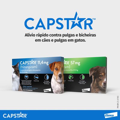 Antipulgas Elanco Capstar 11 4mg para Caes e Gatos de 1 a 11 4kg PetCamp