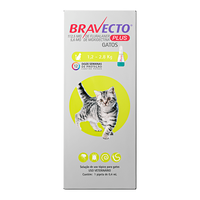 Antipulgas MSD Bravecto Plus para Gatos de 1,2 a 2,8kg