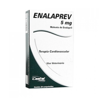 Cardiovascular Enalaprev 20 Comprimidos - 5 Mg