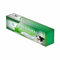 Gel Dental Sabor Menta - 60 G