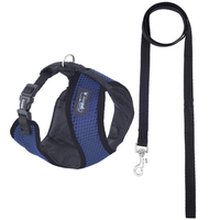 Conjunto Multipatas Guia e Peitoral Conforto Azul para Cães - Tam.1
