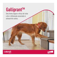 Anti-inflamatório Elanco Galliprant 100mg para Cães