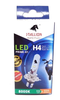 Lâmpada LED H4 Stallion S/REATOR